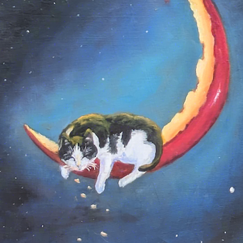 Cat on Gouda Moon painting