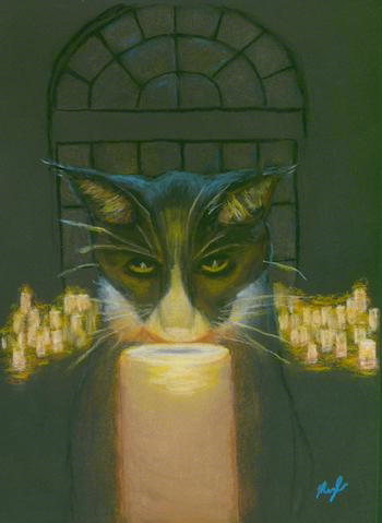 A black cat stares down at a glowing candle. An arched window rises behind him in the dark, with more candles glowing at its base.